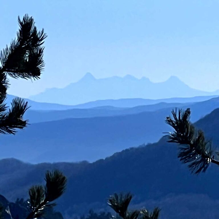 TREK | MONTE SANT’AGOSTINO E MONTE CAPRA – LA VIA DEGLI ABATI | 11 maggio 2025